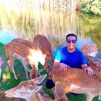 ⲔⲨⲢⲈⲖⲖⲞⲤ🇪🇬KIROöö (@kiro_kiro7) 's Twitter Profile
