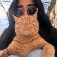 خاطره (@mamanebiyorn) 's Twitter Profile Photo خاطره (@mamanebiyorn) 's Twitter Profile Photo