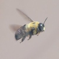 John.AlterEgo (@john_alterego) 's Twitter Profile
