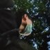 3310 (@opwmj2b3qy50967) Twitter profile photo 3310 (@opwmj2b3qy50967) Twitter profile photo