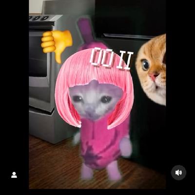 IFaioni's profile picture. ⚙️