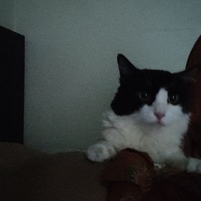 ipuk417809824's profile picture. 