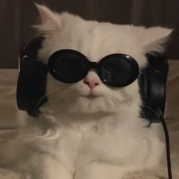 쟉봄 (@peoniapril) 's Twitter Profile Photo 쟉봄 (@peoniapril) 's Twitter Profile Photo