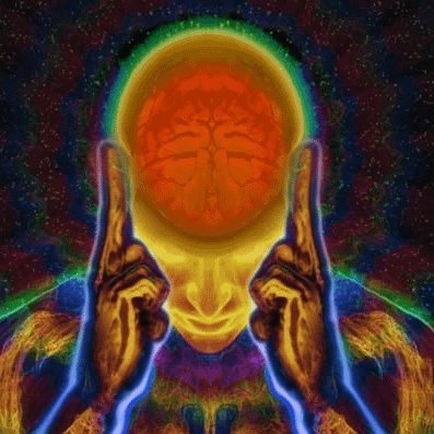 Commodus177's profile picture. Private Lurker - 7 Figs in ecommmmmmm