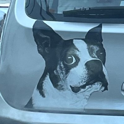 ajmpwajup's profile picture. 