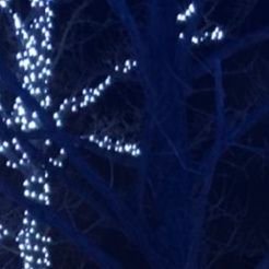 59wwwwwaaaaa35's profile picture. 