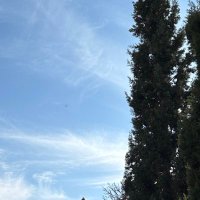 $mile (@sandle213) 's Twitter Profile