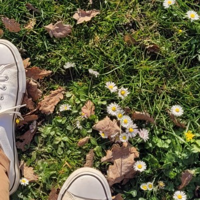 aritra_marik's profile picture. champagne supernova in the sky