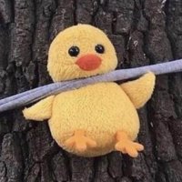 caca (@daydeevaa) 's Twitter Profile