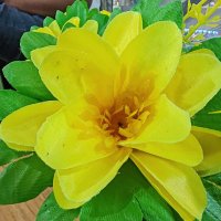 A.. Nill โฆฟ (ร,G) | Hasbiland | ๐,๐ (@anper1085) 's Twitter Profile