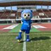 アスルくん@【公式】アスルクラロ沼津(全力インターン中!) (@azulkundesu) Twitter profile photo アスルくん@【公式】アスルクラロ沼津(全力インターン中!) (@azulkundesu) Twitter profile photo