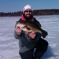 Bob felicani (@bobfel2001) 's Twitter Profile