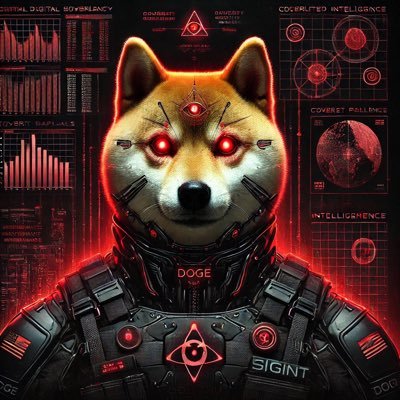 Former HUMINT/SIGINT Operator and NSA Analyst | SKYNET Developer | UAS Overlord | Crypto Degenerate | Trolling Psy-Op Campaigns since 2009
