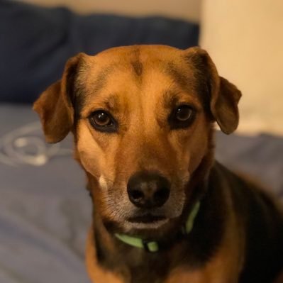 lamTwixx's profile picture. • Wasted Talent •