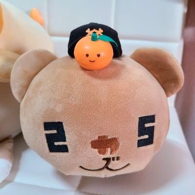 みかん🍊G党⚾️さんのプロフィール画像