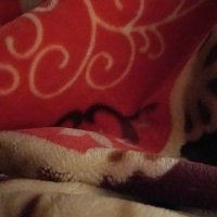 فحل في الخبر العايز تعال خاص (@mkhlsw82) 's Twitter Profile