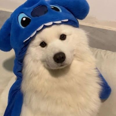 ⠀ ⠀ ⠀ ⠀ ⠀ ⠀ ⠀ ⠀ ⠀ ⠀ ⠀ ⠀ ⠀ ⠀ ⠀ ⠀ ⠀ ⠀ ⠀ ⠀ ⠀ ⠀ ⠀ ⠀ ⠀ ⠀ ⠀ ⠀  ⠀ ⠀ ᴍʏ ʟᴜᴠ  ꢾ  ʏᴀᴏɪ ɢɪʀʟ  ୧ 🐈‍⬛⠀ ⠀ ⠀ ⠀ ⠀    ⠀ ⠀ ⠀ ⠀ ⠀ ⠀ ⠀ ⠀ ⠀ ⠀ ⠀ ⠀ ⠀ ⠀ ⠀ ⠀ ⠀ ⠀ ⠀ ⠀ ⠀