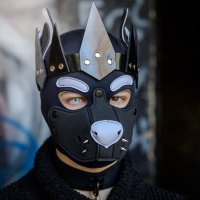 Calou (@pup_calou) 's Twitter Profile