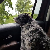 Roland (@metamatternl) 's Twitter Profile
