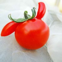 【闇落ちとまとは5月中旬から販売予定】フルーツトマトのSOGA FARM トマトの世界 (@pasmal0220) 's Twitter Profile Photo 【闇落ちとまとは5月中旬から販売予定】フルーツトマトのSOGA FARM トマトの世界 (@pasmal0220) 's Twitter Profile Photo