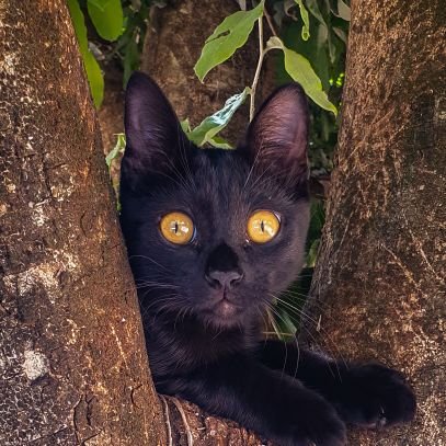 Hugo67Gon's profile picture. Viva com consciência