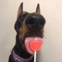 Dixieland Twink (@_wildeman_) 's Twitter Profile