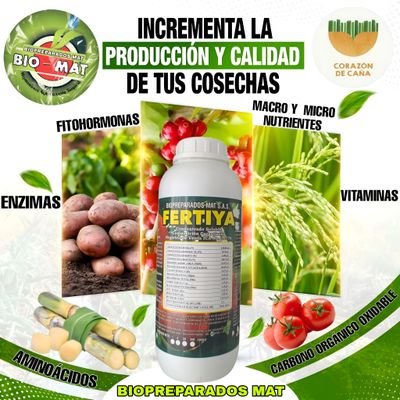 Gildorendon's profile picture. Bioquímico.