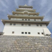 おたまじゃくし🌸🐸 (@wu_qiao65910) Twitter profile photo