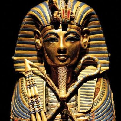 Evandro536876's profile picture. 