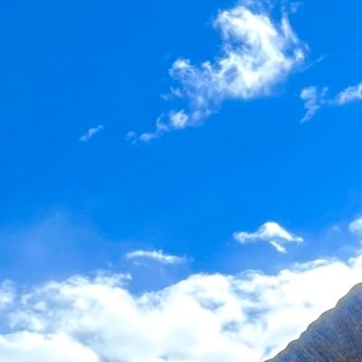 都会でも田舎でもない地方自治体職員/育休後復帰、9時-16時勤務中/仕事・客・世の中に対する愚痴とぼやき多め/全て妄想と偏見と個人の感想です