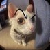 Frodou (@1m_frodo) Twitter profile photo Frodou (@1m_frodo) Twitter profile photo