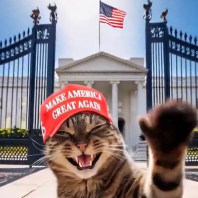 Don’t California my Texas. Me & my cats talk shit about you. Here for news. DM’s & lists = 🚫