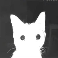 _nicko.3108 (@_nicko3108) 's Twitter Profile