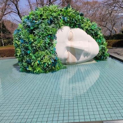 KtMochko's profile picture. 