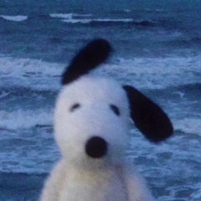 Hav2an1ceday_'s profile picture. 언어 공부 그리고 책 읽기