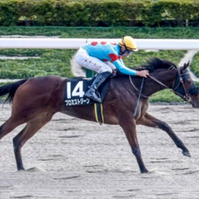 シルクで一口馬主🏇と神社巡り⛩️御朱印集めや車中泊旅行🚗株が趣味のアラフィフおじさん😄無言フォロー失礼します🙏無言フォロー大歓迎です🌈
#プロミストジーン
#フェローテック
