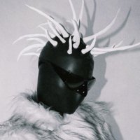 Piu-Piu crazy hair (@baiflu) 's Twitter Profile