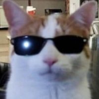 moody (@muhammad_m87466) 's Twitter Profile