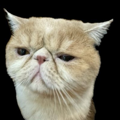 ochie_tweets