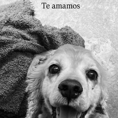 JuanMartnezTru1's profile picture.