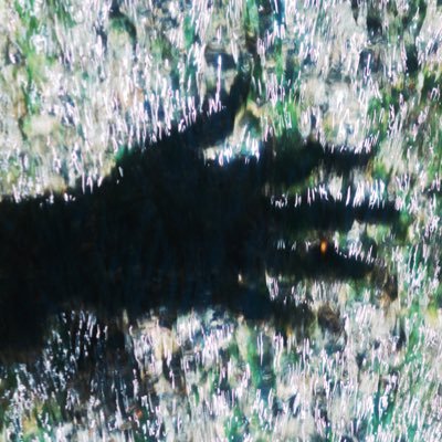 hayashiphotomov's profile picture. A/B