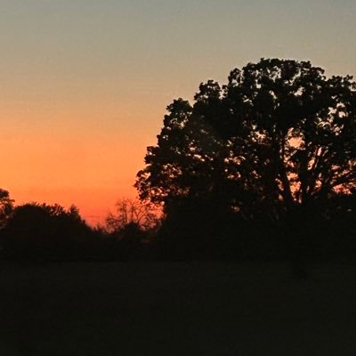 Tammy_Harold's profile picture. Mom of two girls, owner of bookkeeping business; lots of free time now. l love podcasts