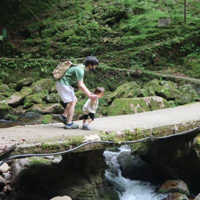 cat8_cat2's profile picture. とあるリーマンパパ/
3y5m♀絵本大好き/育休終了/
投資、読書/
１日１ツイートができない!それどころか、rom