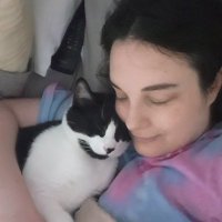 Lolsys Library (@lolsysl) 's Twitter Profile