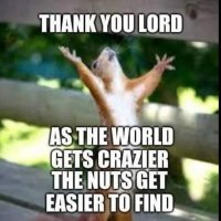 Beverly Lefever 🆘🇺🇸🌎 (@beverlylefever) 's Twitter Profile Photo Beverly Lefever 🆘🇺🇸🌎 (@beverlylefever) 's Twitter Profile Photo