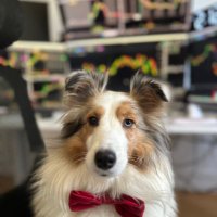 NBN (@nbn707) 's Twitter Profile
