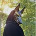 Anobis (@anobis2024) Twitter profile photo Anobis (@anobis2024) Twitter profile photo