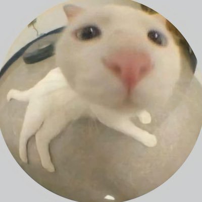 jas_meep's profile picture. 