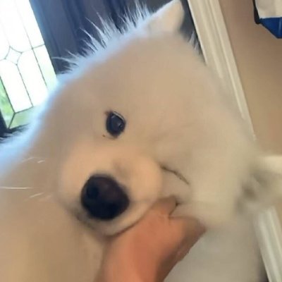 matinsike's profile picture. 链上农民工 | 不定期分享撸毛 | 不构成财务建议