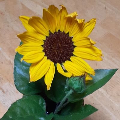 mBt3OtCmAf27652's profile picture. 